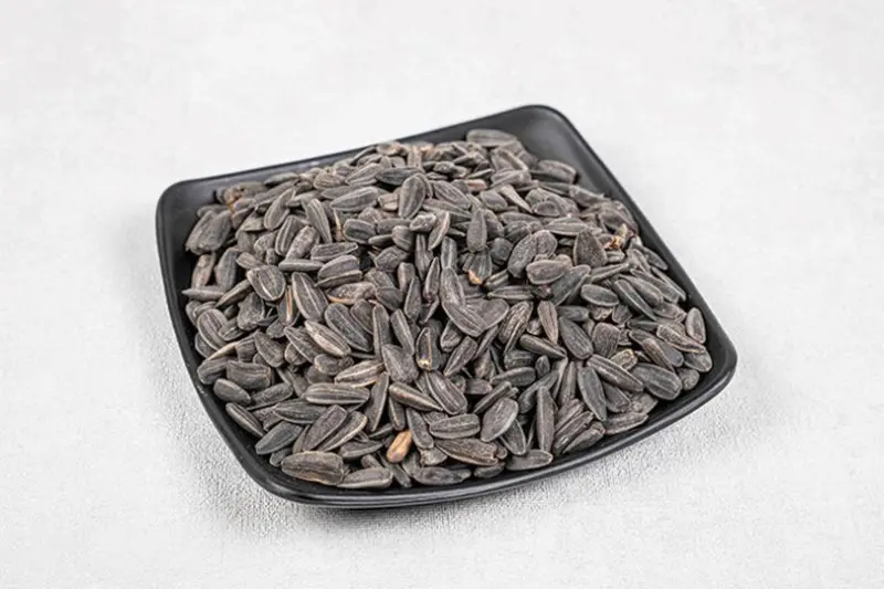 گوڵەبەڕۆژەی ڕەشی بچووک