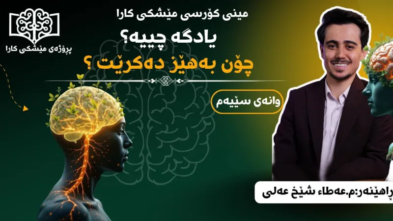  مینی کۆرسی مێشک و یادگە 🧠